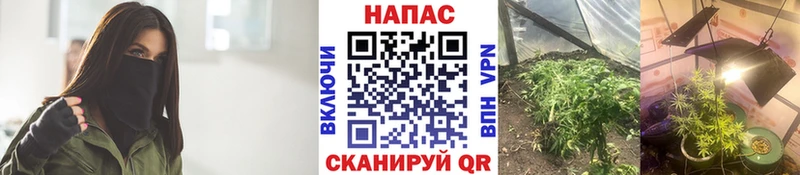 Где купить Дубовка Амфетамин  КОКАИН  СОЛЬ  Гашиш  Конопля 