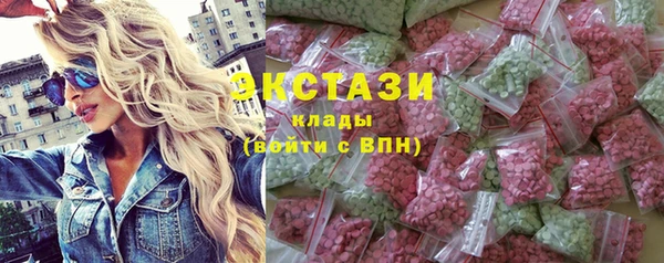 мдпв Богородицк