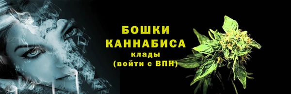 молекула духа Богородск
