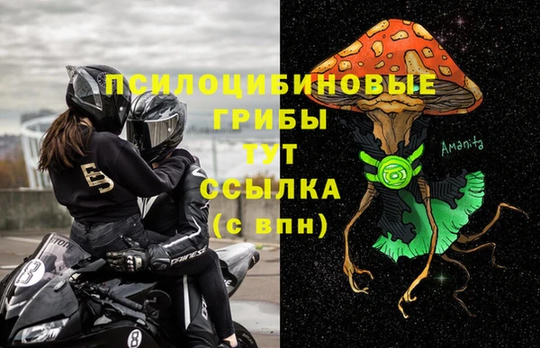 СК Осташков