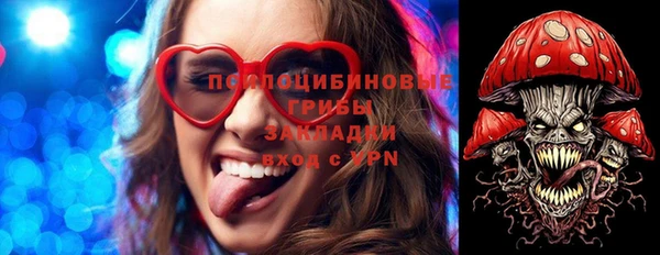 мдпв Богородицк