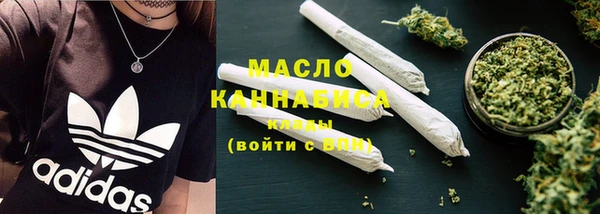мдпв Богородицк