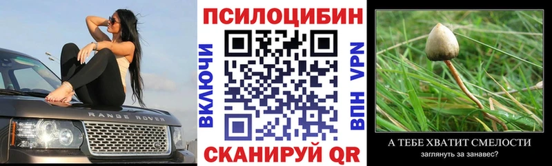 дарк нет состав  Дубовка  Галлюциногенные грибы ЛСД 